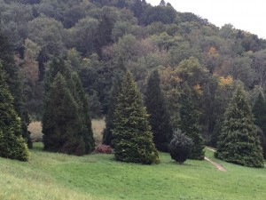 Arboretum und Lac du Joux 096